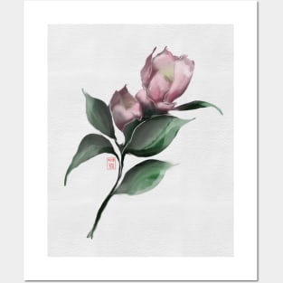 pink watercolor and sumiE camellia Posters and Art